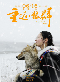 影片汇集了徐若瑄、郭采洁、贾静雯、戴立忍等明星主演，讲述发生在大学校园中的情感纠葛。